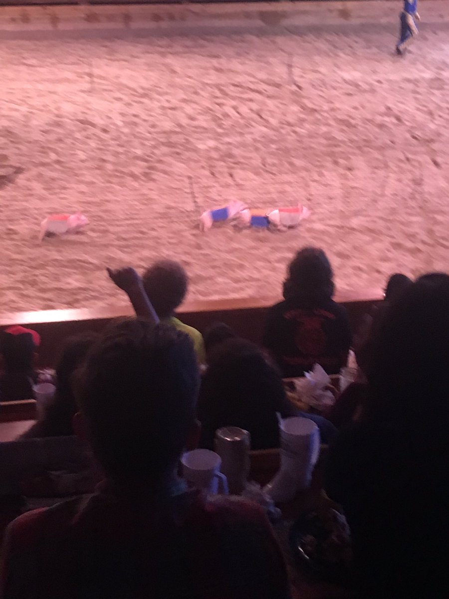 BeechFfa's tweet photo. Fun time at state!!! #beechffa #tnffaconv16 #MeetaMember https://t.co/mPVTqvGBrx