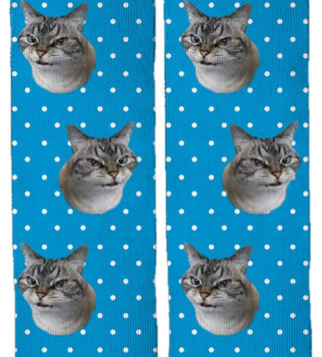 loki_kitteh's tweet photo. Loki socks! 7 days to snag some ♥ https://t.co/ZOzheaAY7S #CatsOfTwitter #bakdrop https://t.co/V0iJ30v0Ez