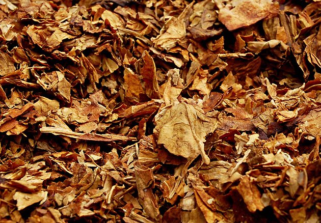 Ембарго tweet media