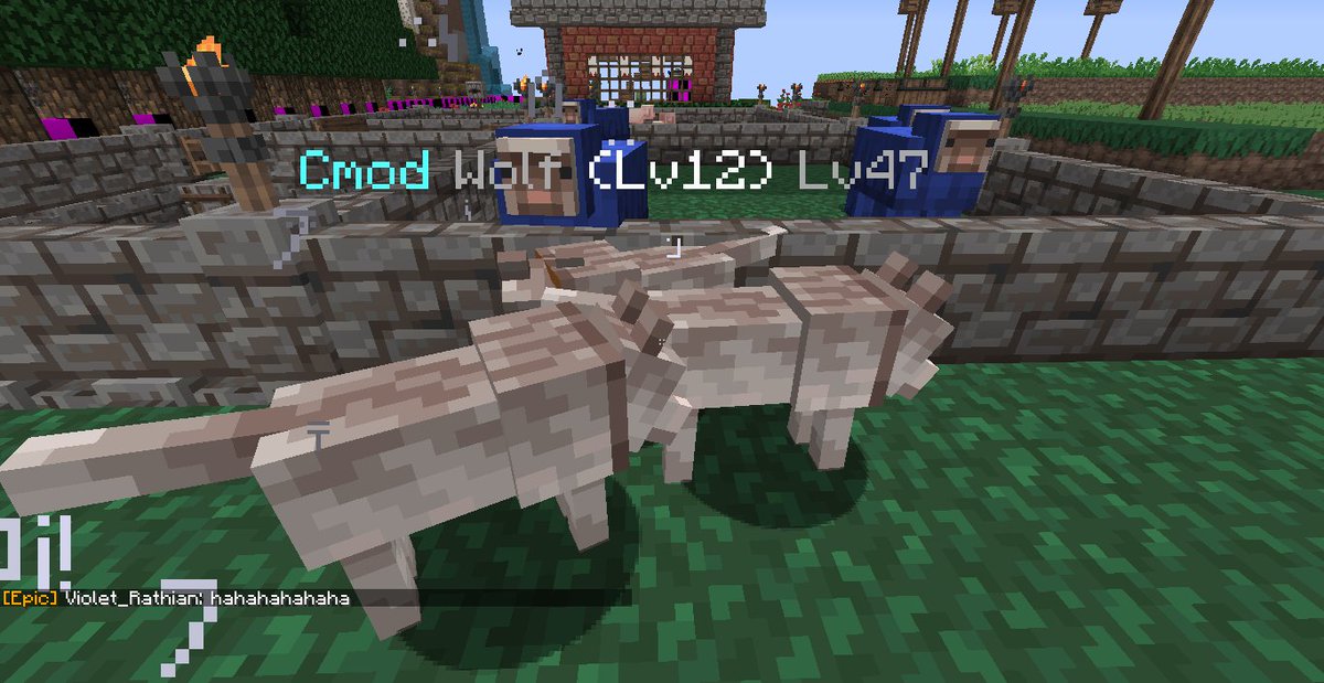 PsychedelicRat's tweet photo. When your server needs more cmods https://t.co/GMsytmWvS0
