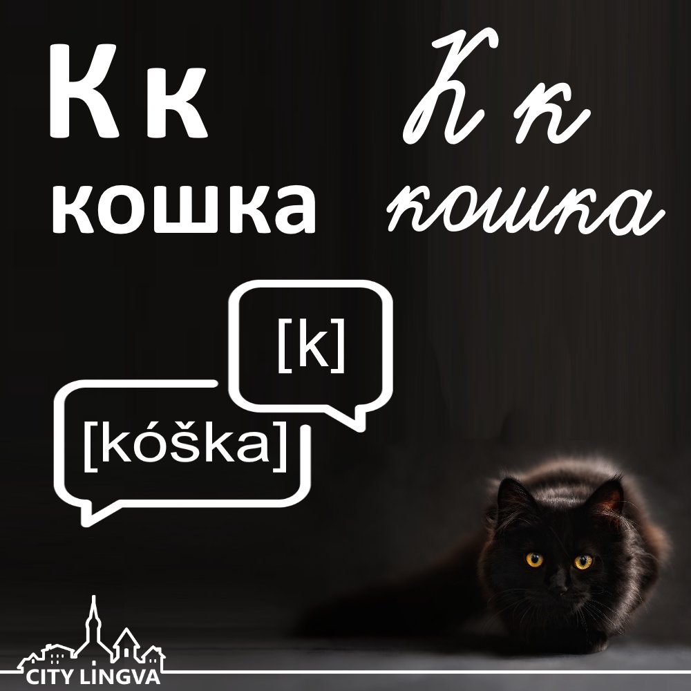 RussianMinsk's tweet photo. #russianlanguage #russischlernen #learningrussian #easyrussian #studyrussian #русскийязык #азбука #русскийалфавит https://t.co/4Q63dvQnMX