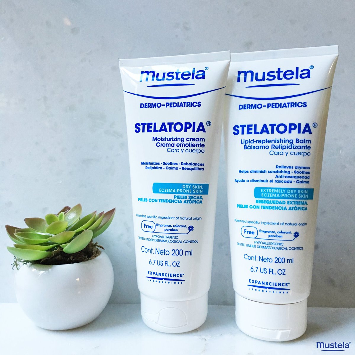 mustela range