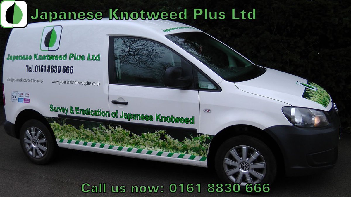 KnotweedPlus's tweet photo. Growing #season of Japanese #knotweed is now on. Have a problem with this aggressive invader? Call us 0161 8830 666 https://t.co/uxRHPcSfEv