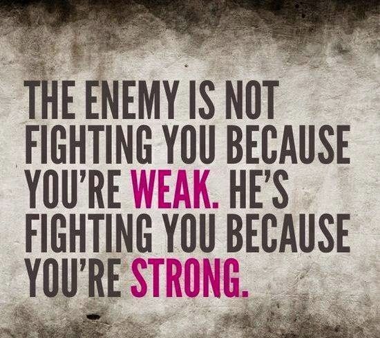 Shape Mind Soul (@shapemindsoul) on Twitter photo 