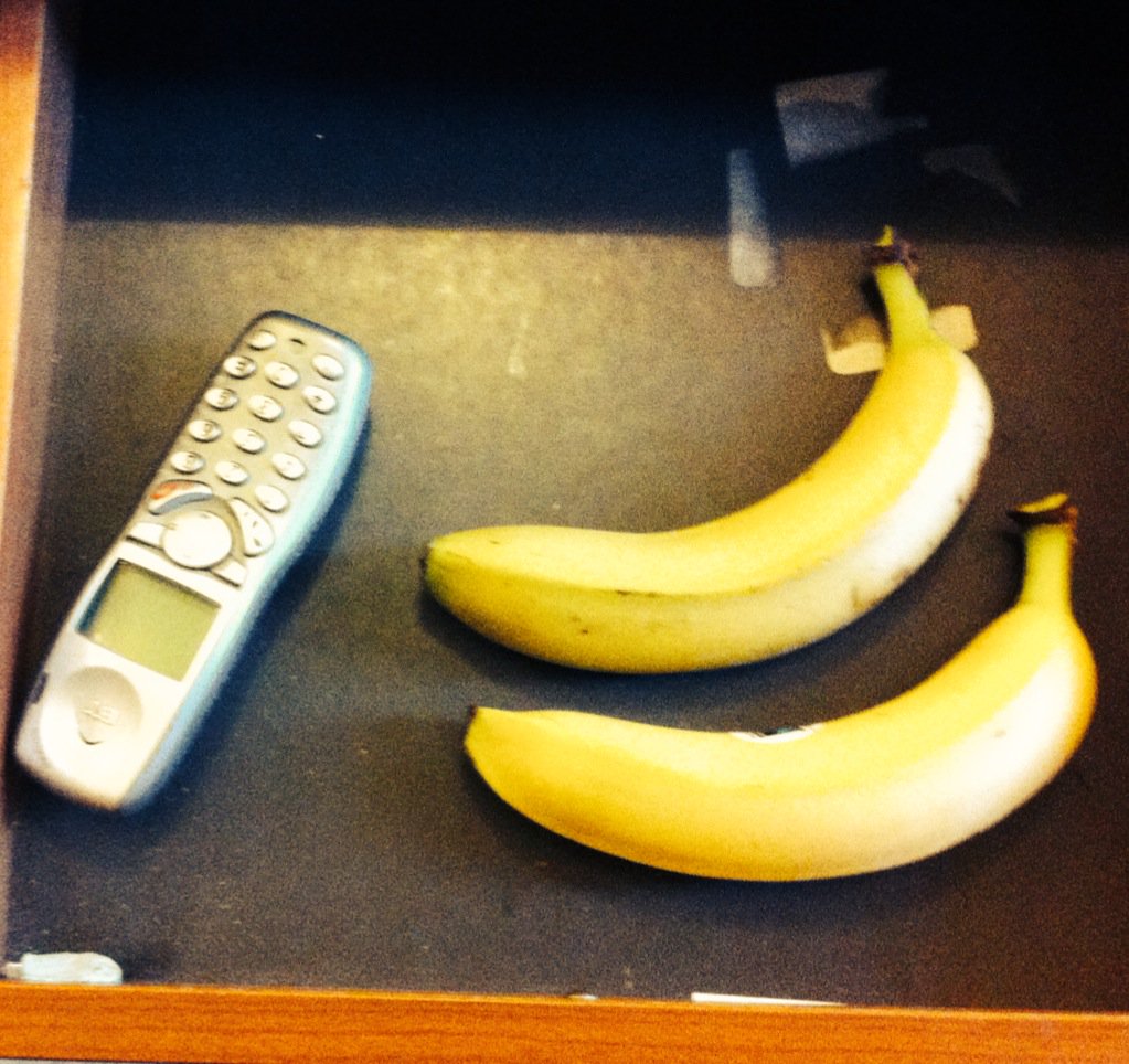 #labrat is coming to <a href="/LittleATheatre/">Little Angel Theatre</a> Fri 1st April 8pm! Call now to book tickets. @NTYtheatre #puppetryforadults