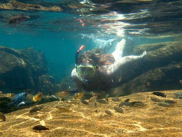 DoAfrika tweet media