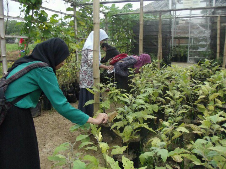 iaaslculm's tweet photo. @tweetIPB Ini beberapa foto kegiatan yg dilaksanakan di VCP kami. https://t.co/p6jk9yObO5