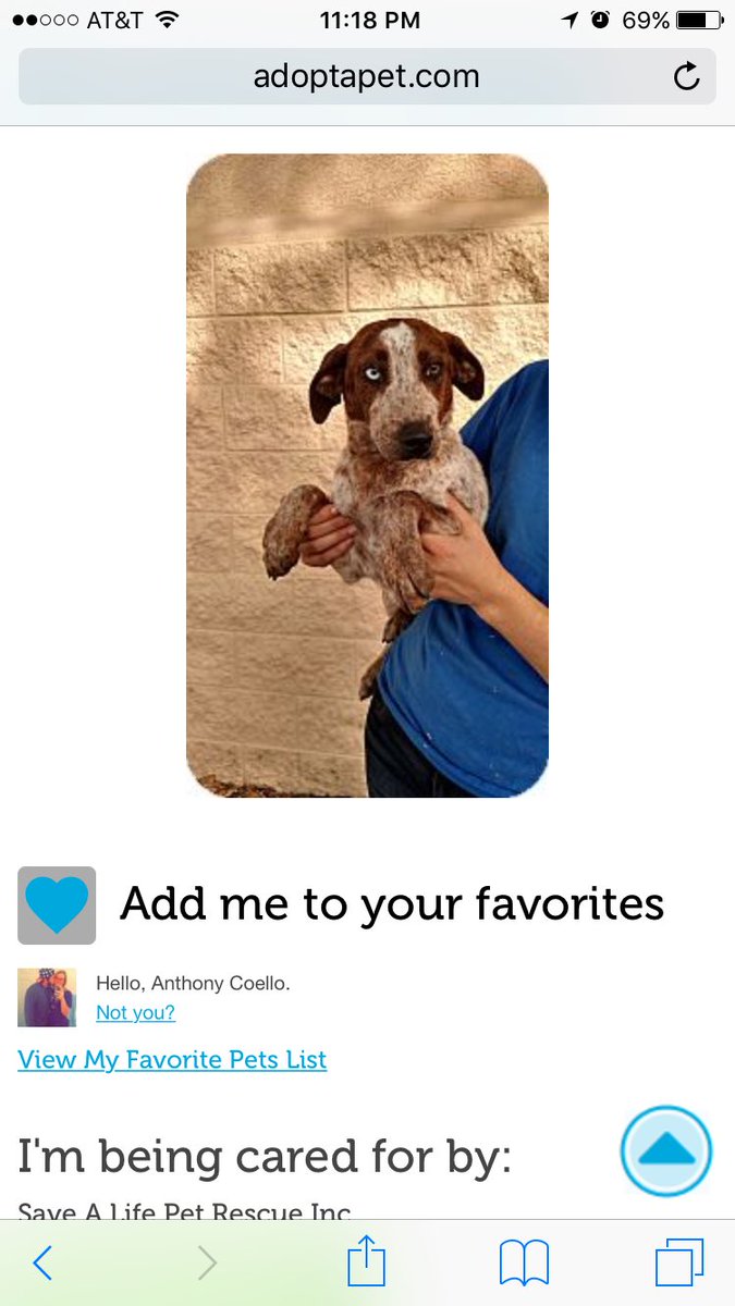 CoelloAnthony's tweet photo. Which one ? 😍😬 https://t.co/Tb7Ryff4xF