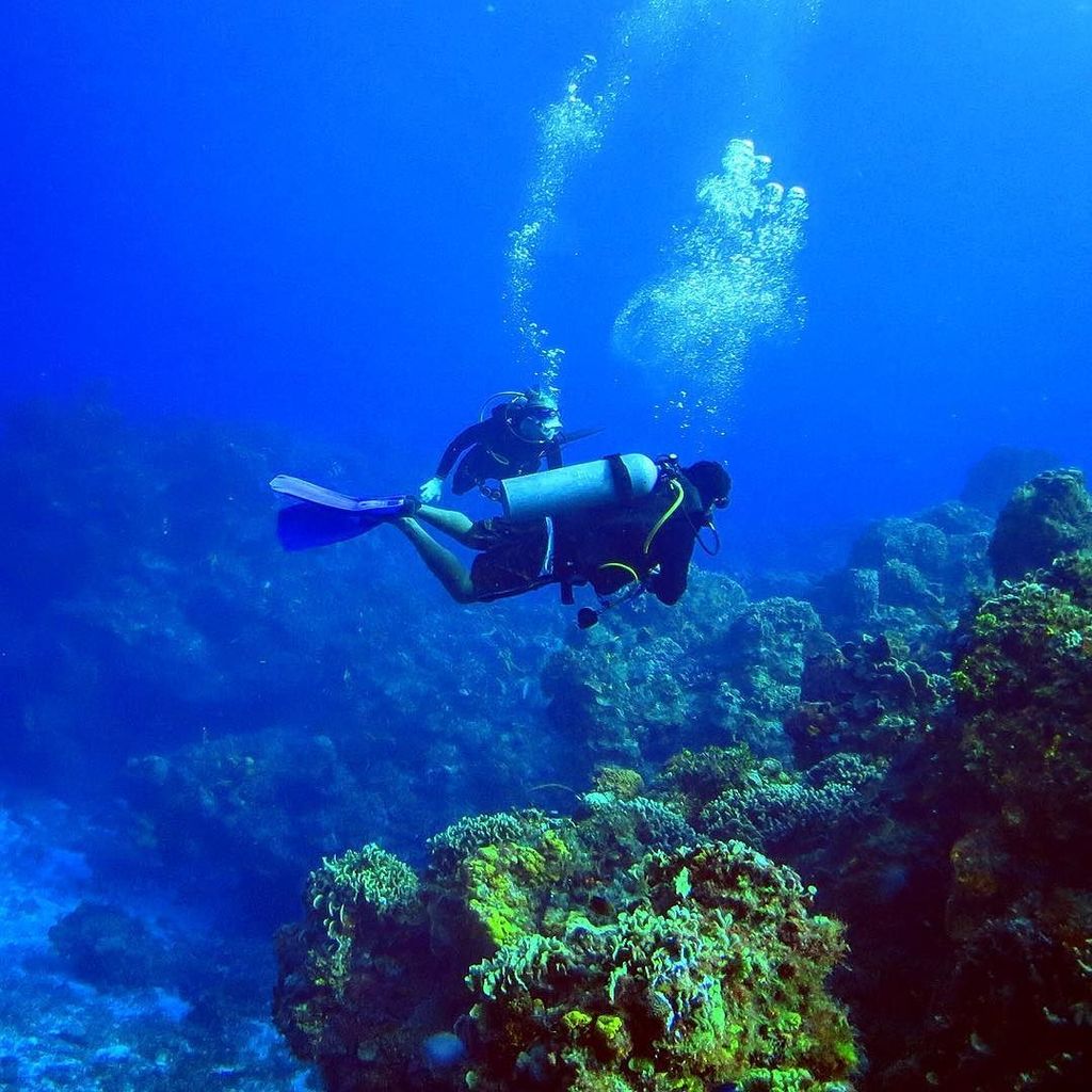 ParadiseCoveStt's tweet photo. twgate shares: Floating over the coral canyons. #cozumel scuba #scubadiving #scubadive #scubadiver #scubalife #uwph… https://t.co/D7a2ISL7Az