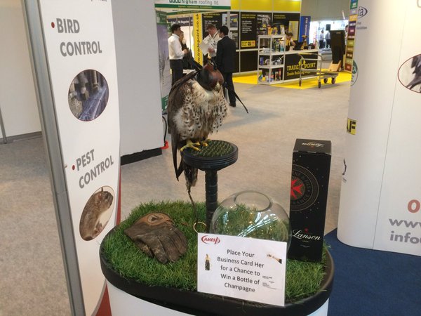 Altekmidlands photo