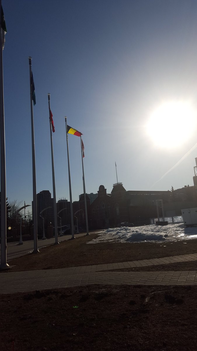 JimWatsonOttawa's tweet photo. Belgian flag raised at City Hall / Drapeau belge levé à l'hôtel de ville. #Brussels #Bruxelles https://t.co/o5UrEccJah