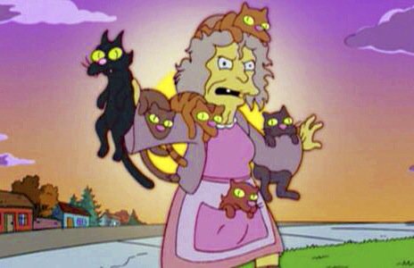 kianaCC's tweet photo. cute foto van @annigje met dr nieuwe kittens https://t.co/C1yfV9EqRe