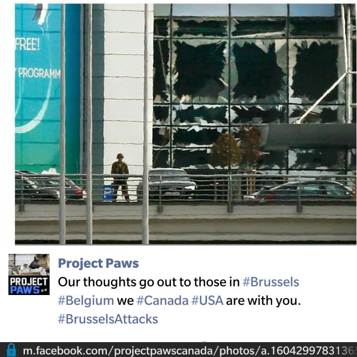 Our thoughts go out to those in #Brussels #Belgium we #Canada #USA are with you. #BrusselsAttacks