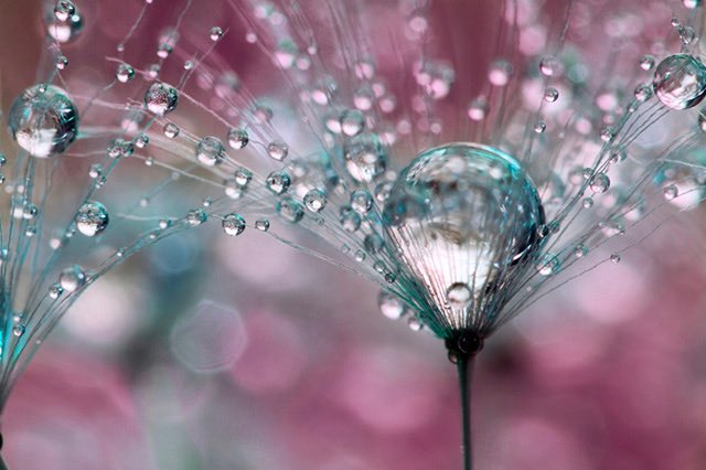 Beautiful Day 💕<a href="/Ju7909/">Juliana ♾</a> <a href="/Giammattei/">Verano Giammattei</a> @MDatzberger <a href="/varshu9999/">varshini</a> <a href="/John_Carter_EU/">John Carter aka Dotar Sojat</a> <a href="/varshu9999/">varshini</a> <a href="/viktorinini/">♡𝔙ℑ𝔎𝔗𝔒ℜℑ𝔄♡</a> <a href="/Zsuuzsaa/">Lana</a>
