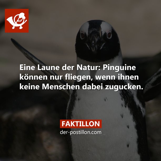 Mehr Fakten auf > faktillon.tumblr.com
Ehrliche Nachrichten auf der-postillon.com