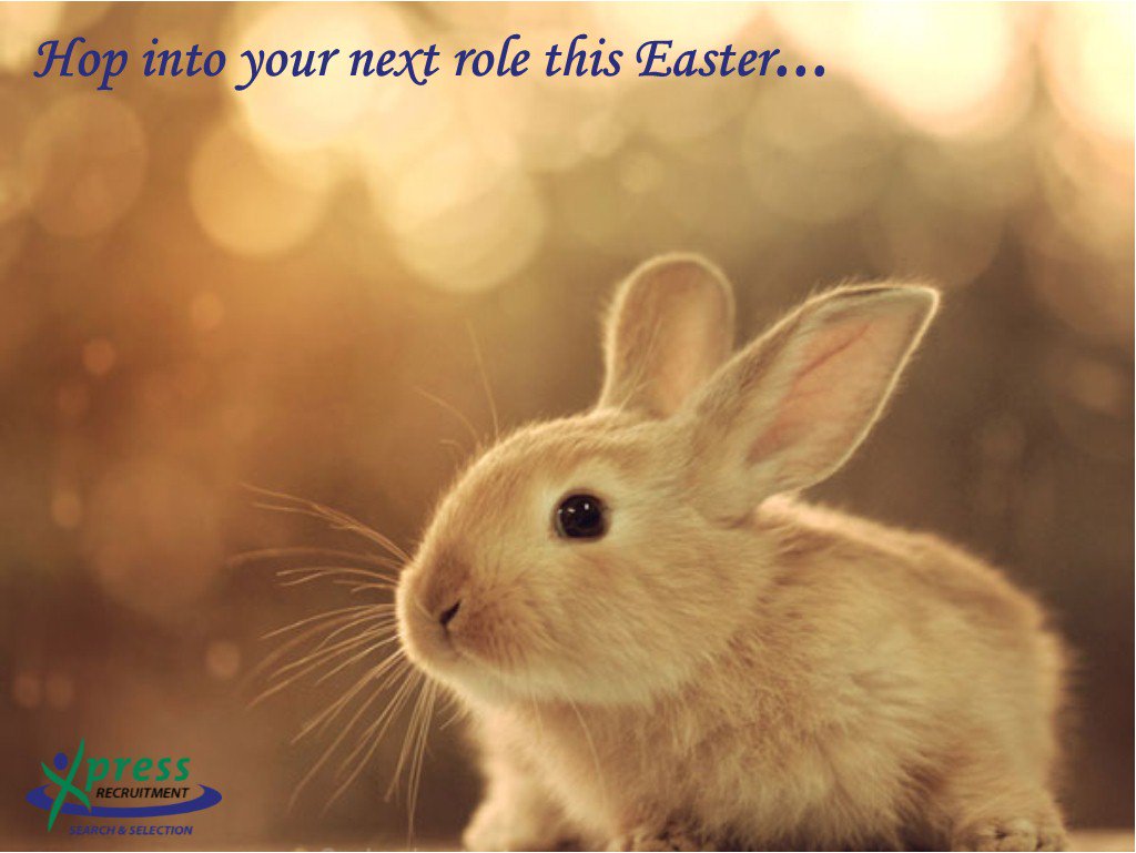 Hop into your next role with the help of Xpress. #Easter2016