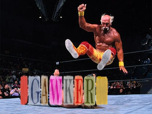 Brug for virkelighed produktion Hulk Hogan lays the smackdown on Gawker once again / Twitter
