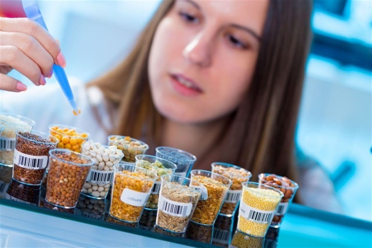 ¿Qué sabes de los #alimentos transgénicos? infosalus.com/nutricion/noti… #Nutrición vía <a href="/infosalus_com/">Infosalus</a>
