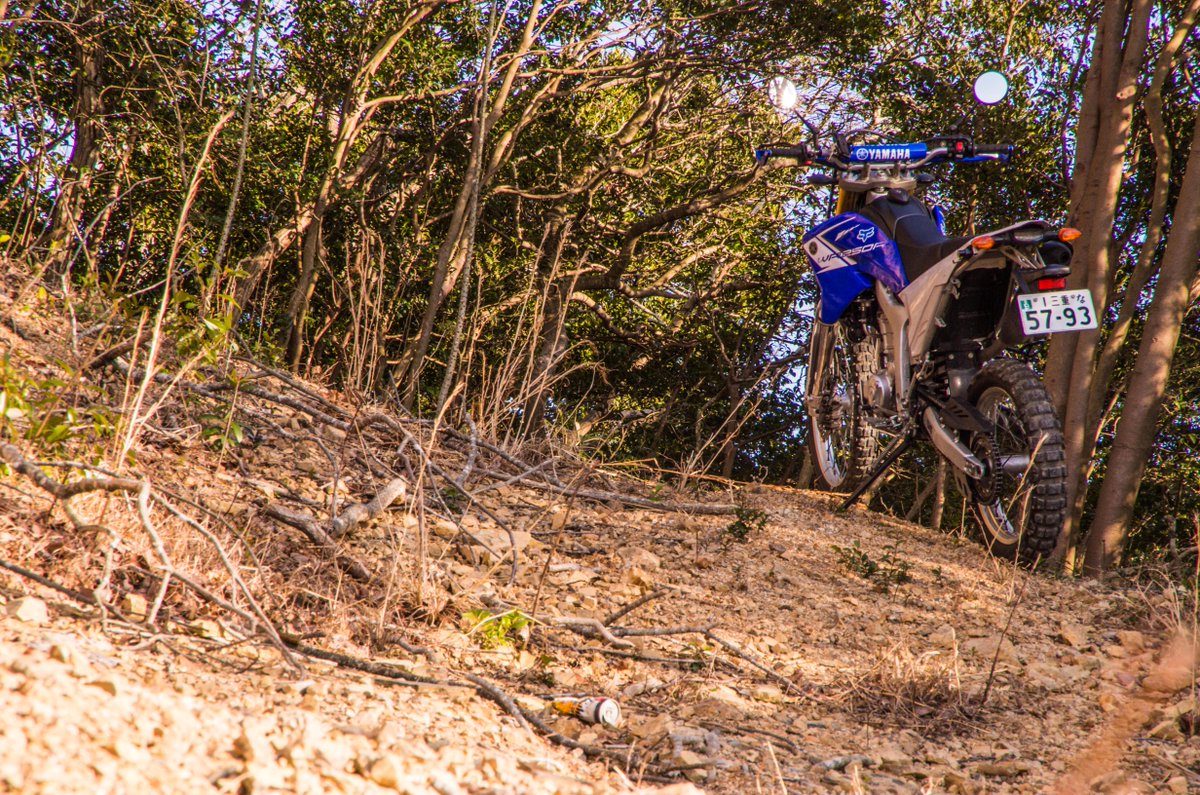 今日の散歩。#YAMAHAが美しい