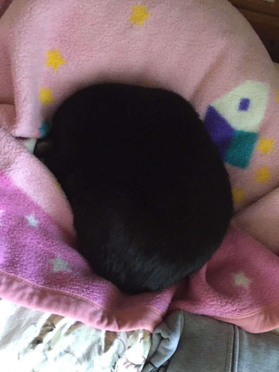 黒い塊 Kereses A Twitteren 黒い塊 Kereses A Twitteren