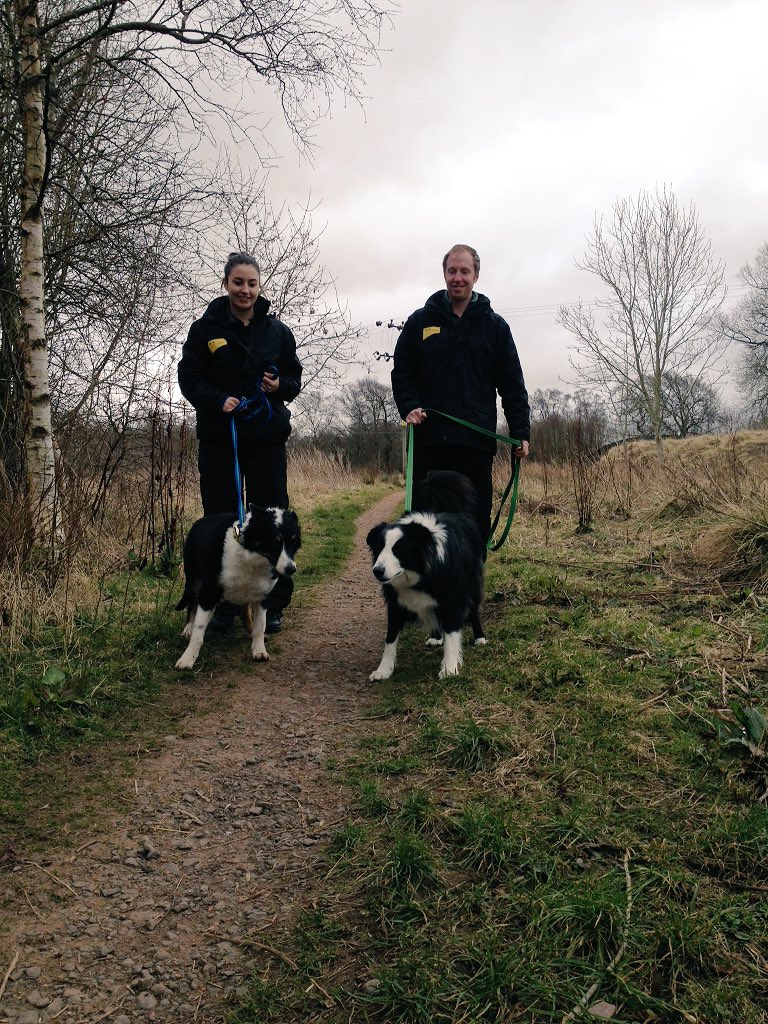 DT_WestCalder's tweet photo. The #CollieClub and their honorary member Ollie the #Yorkie! #morning #walks #doggysocial #collies @DogsTrust ๐พ๐ถ๐พ https://t.co/rsroCxXNdV
