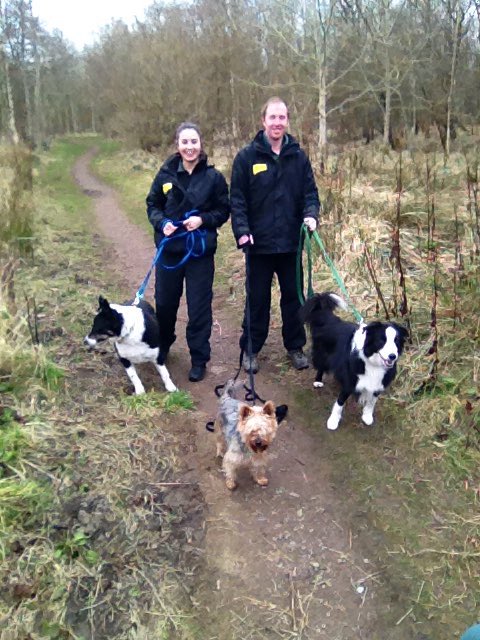 DT_WestCalder's tweet photo. The #CollieClub and their honorary member Ollie the #Yorkie! #morning #walks #doggysocial #collies @DogsTrust ๐พ๐ถ๐พ https://t.co/rsroCxXNdV