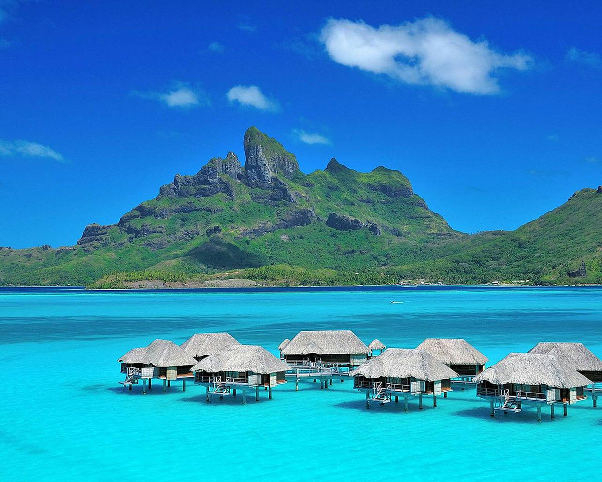 miscetis's tweet photo. If you could get on a flight &amp; go anywhere in the world, where would you go? #TravelTuesday #Explore #Travelling https://t.co/wInINpnwSb