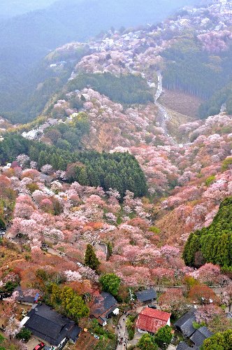 Kokoro No Tomo tweet media