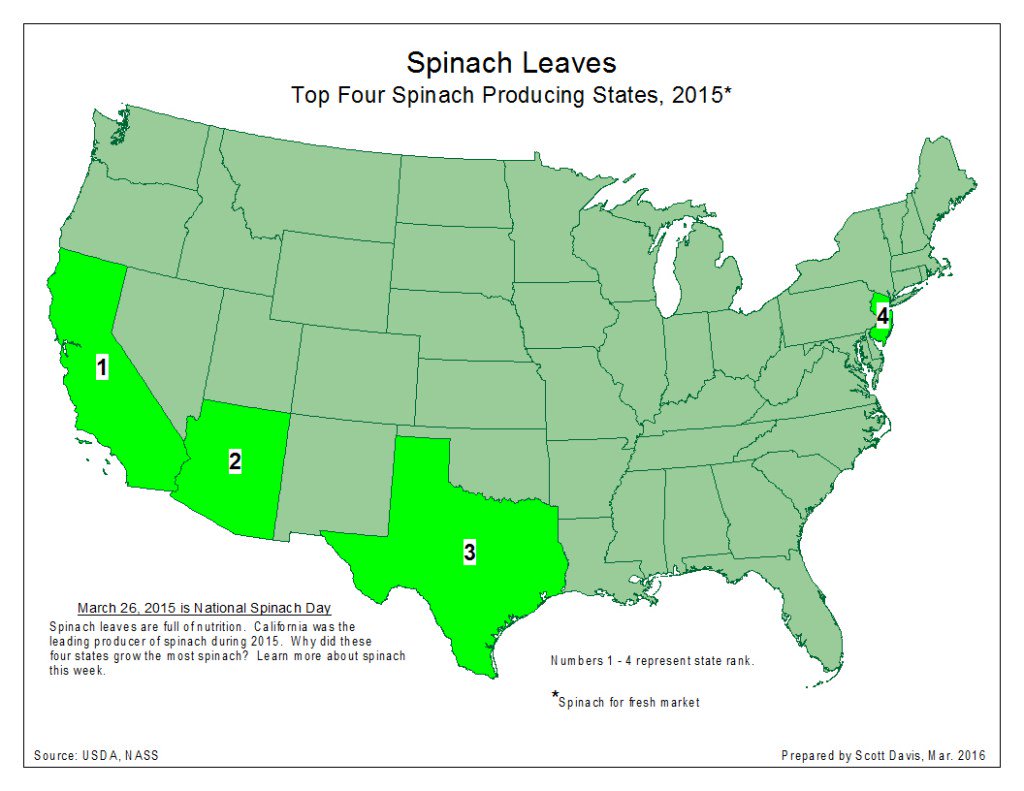Maps101's tweet photo. Map of the Week: Spinach Leaves https://t.co/vI2XPMBr5A https://t.co/PWZf4ovkZt