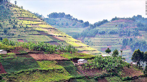 StKyamutetera's tweet photo. CNN reported that #Uganda has 1 of the fastest growing tourism industries in the world. Sector grew by 47.6% in 2015 https://t.co/84z8CSGy2y