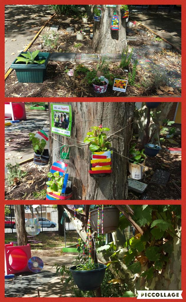 Des_Georgiou's tweet photo. Introducing our Preschool Garden. Re-using containers as flower pots. Learning about sustainable practices. https://t.co/wvUy9BIw1U