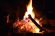 roneldw's tweet image. 