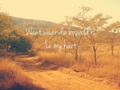 roneldw's tweet image. 