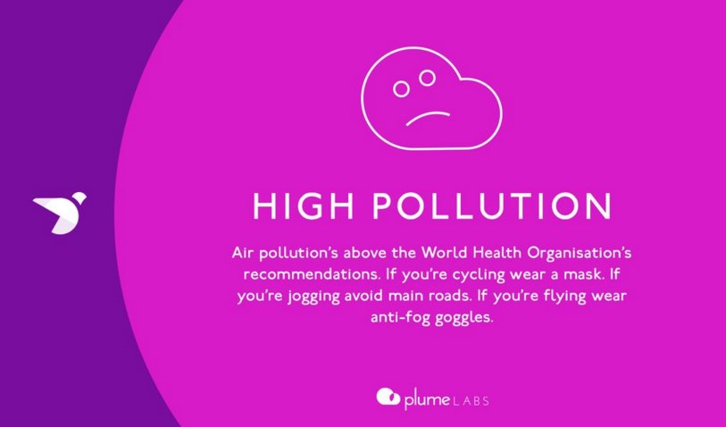 Pigeon Air Patrol tweet media