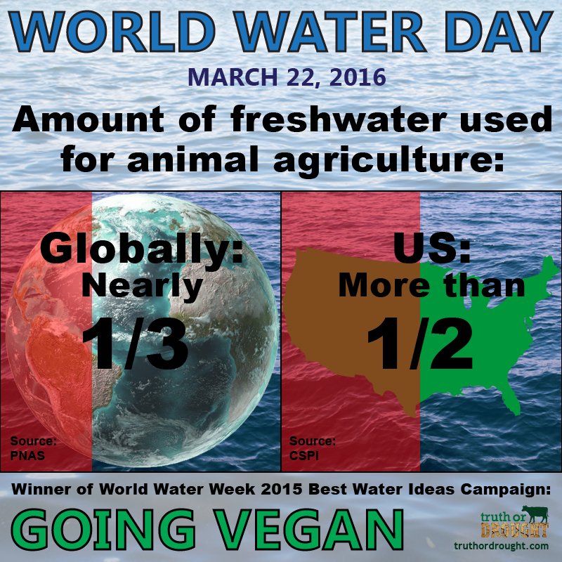 TruthOrDrought's tweet image. #WorldWaterDay is here once again and a #vegan shift remains critical to avoiding catastrophic shortages. #noplanetb