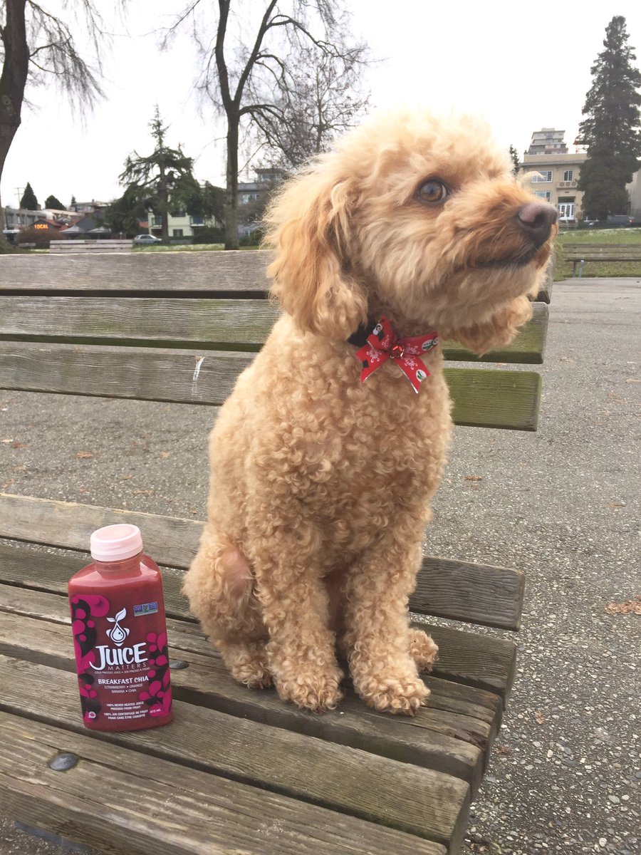 Take your breakfast on the go with our BREAKFAST CHIA #coldpressedjuice! 😄💚🌱🍌🍓💦