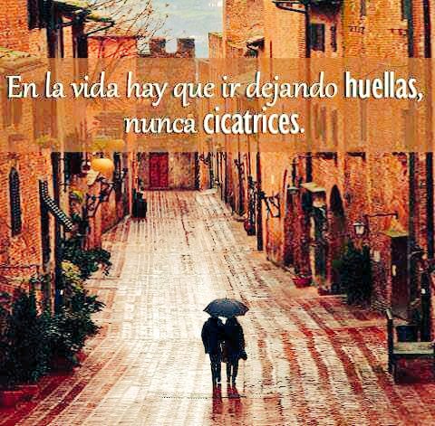 #stopbullying #noalacosoescolar #dejahuellanocicatrices