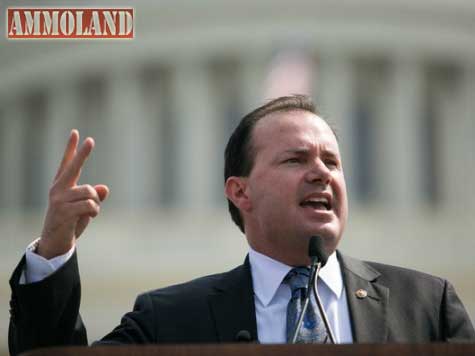 Timothy Peters tweet media