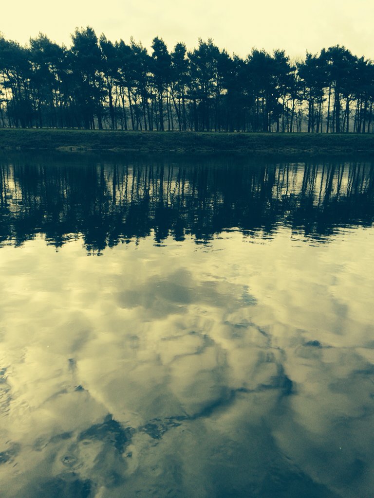 TGibiino's tweet photo. #RunTagIt tranquil 15K around @AttenboroughNR and #CranfleetLock https://t.co/Sle6Kbz1C1