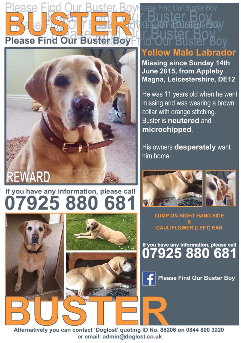 Help Find Buster tweet media