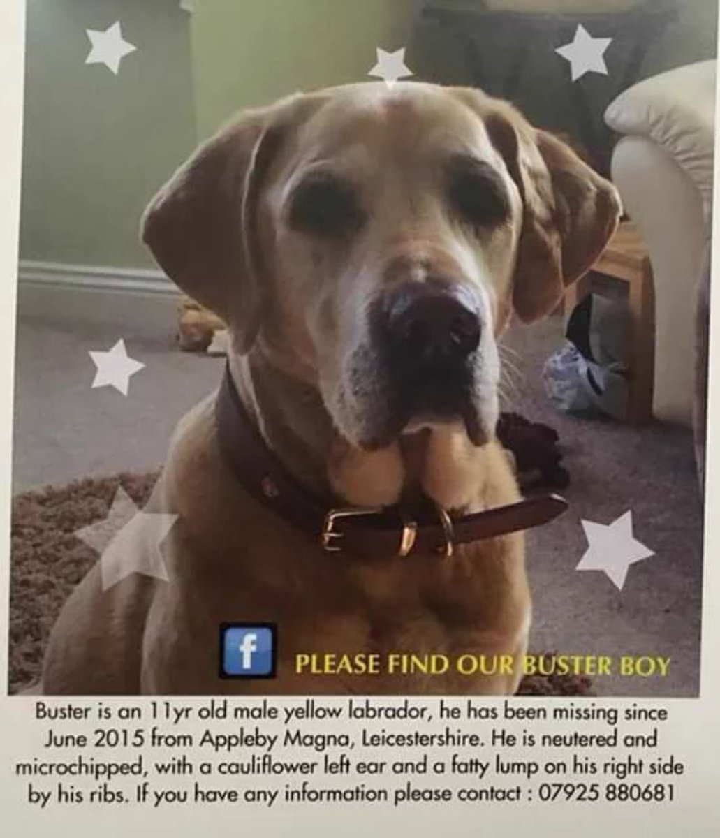 Help Find Buster tweet media
