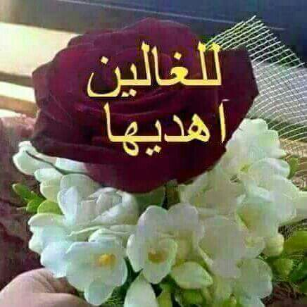 zawzz601's tweet photo. @noova_00 https://t.co/3ChWCR9XGK