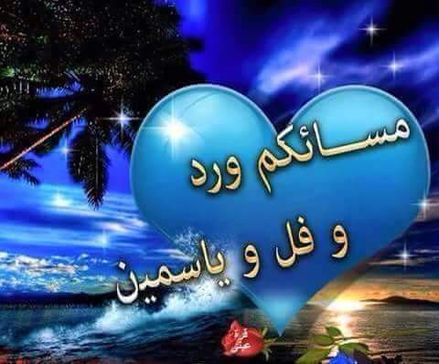 zawzz601's tweet photo. @noova_00 https://t.co/3ChWCR9XGK