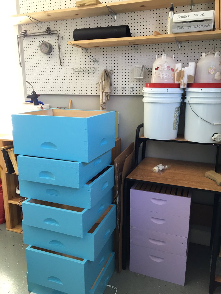 AHoneyBeeTree's tweet photo. Adding a 3rd color to my #supers- #CarolinaBlue after my alma mater #UNCCH #beekeeping #goheels https://t.co/nemGaC2tSm
