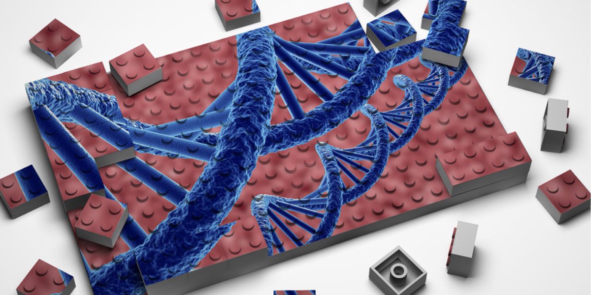 We believe the scientific community have allot to learn from #LEGO. #science #biotech #scientist