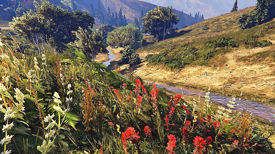 #GTA5 #GTAV #snapmatic #Rockstargames <a href="/Rockstargames/">Rockstar Games</a> #GTAOnline #GTAPhotographers #RACN