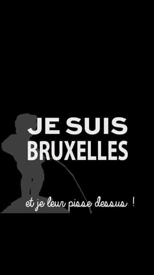 Je hais ISIS
Ik haat ISIS
I hate ISIS
Ich hasse ISIS
Odio Io ISIS
.....
Et ceci dans toutes les langues du monde