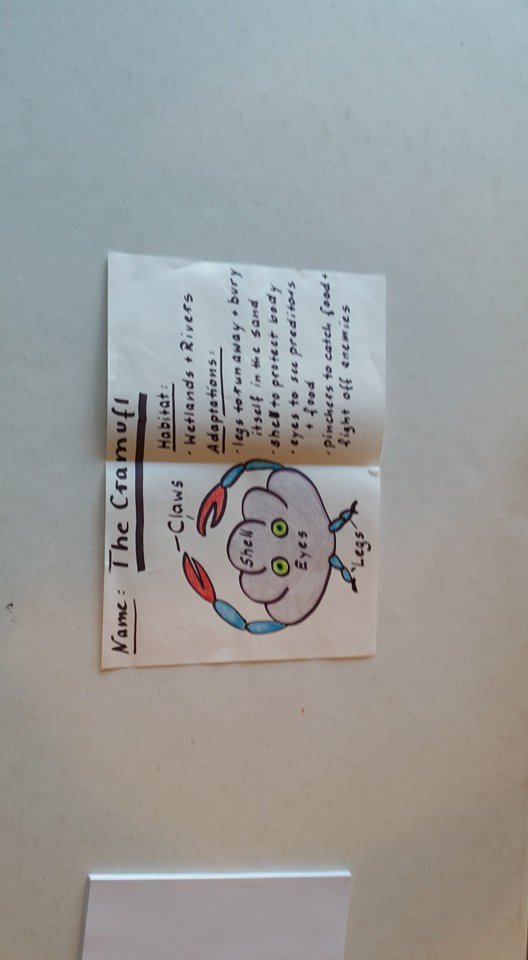 We love animal adaptations. Who doesn't like to wear goggles that help them see like a chameleon?