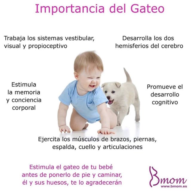 CEIGinerCaceres's tweet photo. https://t.co/Fa8O5heOFE