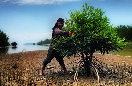 ResearchSEA's tweet photo. Congrats Ahmad Mustapha Mohamad for winning Best Photo Award at #APFW2016
https://t.co/D7BwoGDMO5 @uputramalaysia https://t.co/FgNG7xpruu